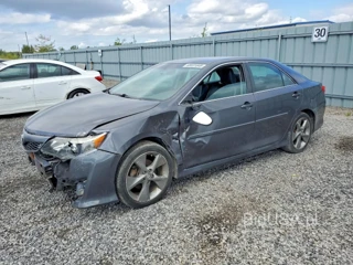 TOYOTA CAMRY L