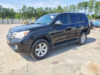 LEXUS GX 460