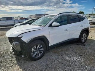 HYUNDAI TUCSON BLUE