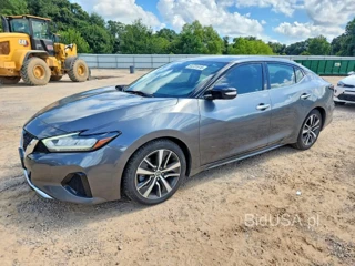 NISSAN MAXIMA SV