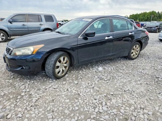 HONDA ACCORD EXL