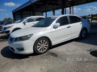 HONDA ACCORD EXL