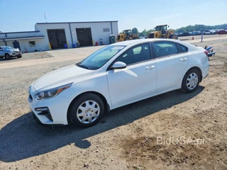 KIA FORTE FE