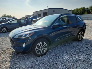FORD ESCAPE SEL