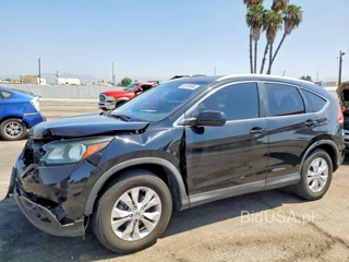 HONDA CR-V EXL