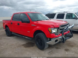 FORD FORD F-150 XLT