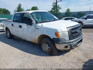 FORD FORD F-150 FX4/KING RANCH/LARIAT/LIMITED/PLATINUM/XL/XLT