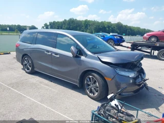 HONDA HONDA ODYSSEY ELITE