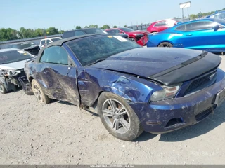 FORD FORD MUSTANG V6 PREMIUM