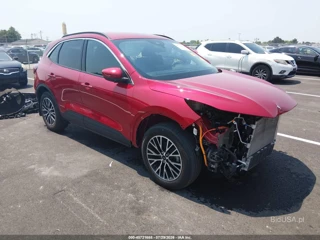 FORD FORD ESCAPE PHEV