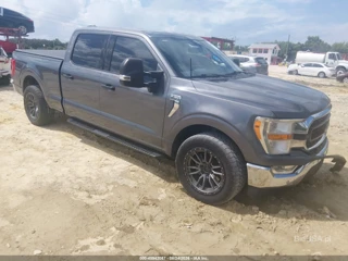 FORD FORD F-150 XLT