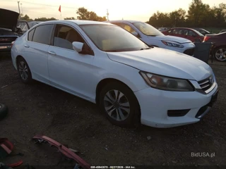 HONDA HONDA ACCORD LX