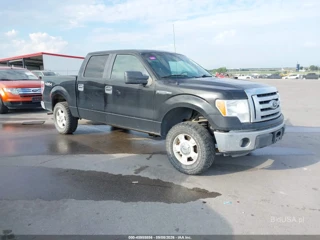FORD FORD F-150 XLT