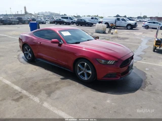 FORD FORD MUSTANG V6