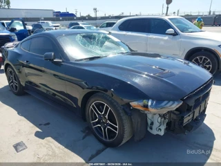 FORD FORD MUSTANG ECOBOOST FASTBACK