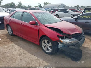 TOYOTA TOYOTA CAMRY SE