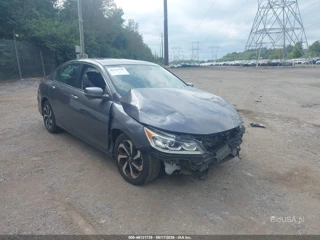 HONDA HONDA ACCORD EX-L