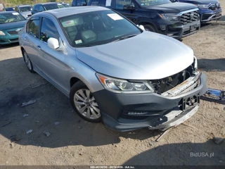 HONDA HONDA ACCORD EX-L