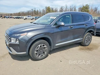 HYUNDAI SANTA FE BLUE