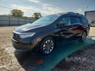 HONDA ODYSSEY EXL