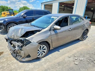 TOYOTA COROLLA LE