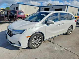 HONDA ODYSSEY EXL