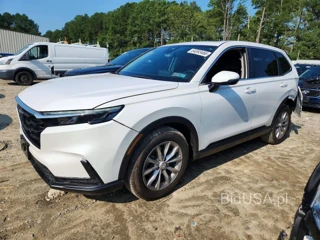 HONDA CR-V EXL