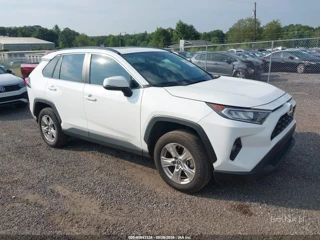 TOYOTA TOYOTA RAV4 XLE