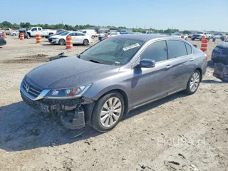 HONDA ACCORD EXL