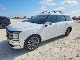 HYUNDAI PALISADE CALLIGRAPHY