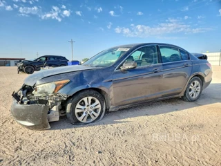 HONDA ACCORD LXP