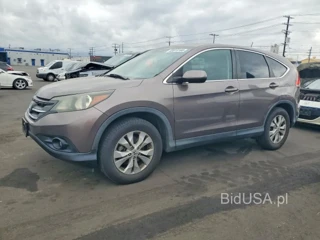 HONDA CR-V EX