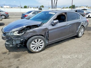 HONDA ACCORD EXL