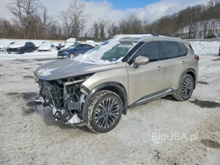 NISSAN ROGUE PLATINUM