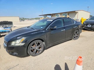 NISSAN MAXIMA 3.5 SV
