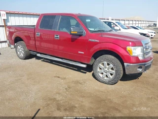 FORD FORD F-150 XLT