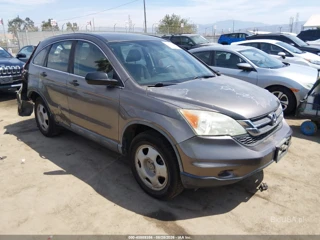 HONDA HONDA CR-V LX
