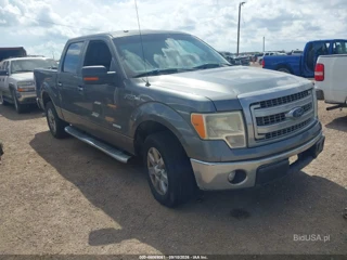 FORD FORD F-150 XLT
