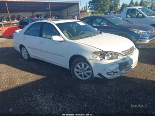 TOYOTA TOYOTA CAMRY XLE V6