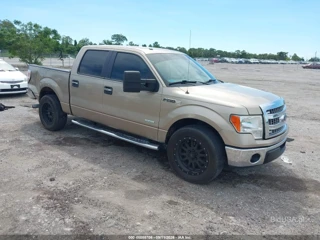 FORD FORD F-150 XLT