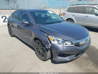 HONDA HONDA ACCORD LX