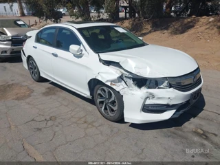 HONDA HONDA ACCORD EX-L