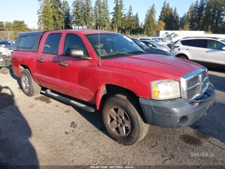 DODGE DODGE DAKOTA SLT