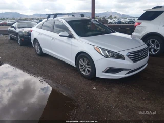 HYUNDAI HYUNDAI SONATA SE