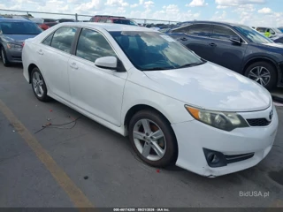 TOYOTA TOYOTA CAMRY SE