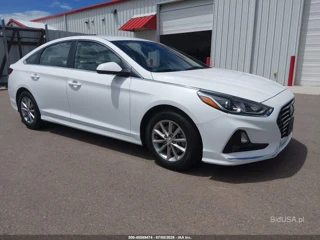 HYUNDAI HYUNDAI SONATA ECO