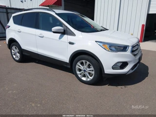 FORD FORD ESCAPE SE