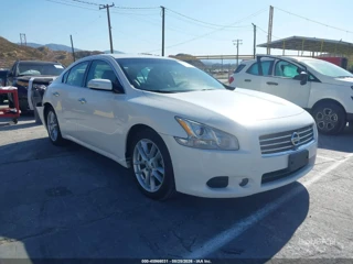 NISSAN NISSAN MAXIMA 3.5 SV