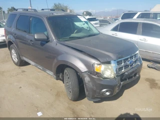 FORD FORD ESCAPE XLT