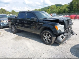 FORD FORD F-150 STX